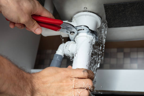 Best Mold removal after water damage  in Kentfield, CA