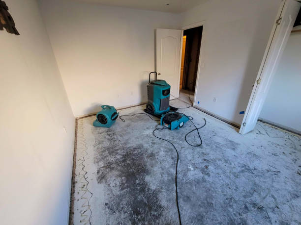 Best 24-hour water damage restoration  in Kentfield, CA