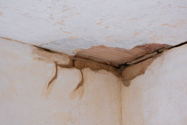 Best Water damage cleanup near me  in Kentfield, CA