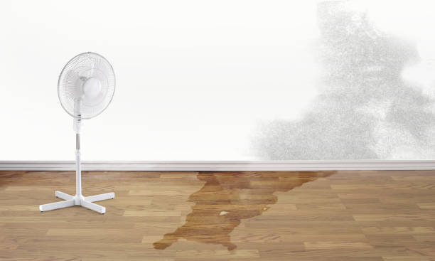 Best Water damage restoration near me  in Kentfield, CA