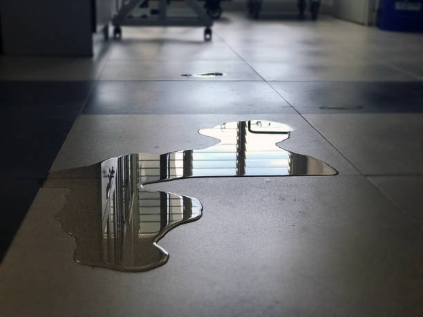Best Professional water damage repair  in Kentfield, CA