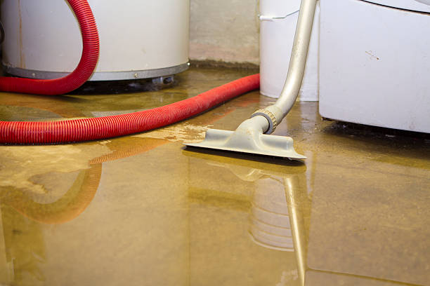 Best Water damage restoration near me  in Kentfield, CA