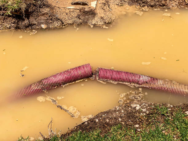 Best Carpet water damage restoration  in Kentfield, CA